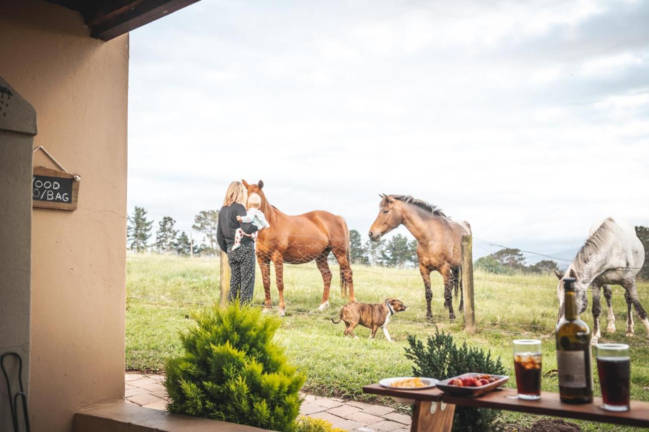Fernhill Guest Farm Villa Knysna Exterior foto
