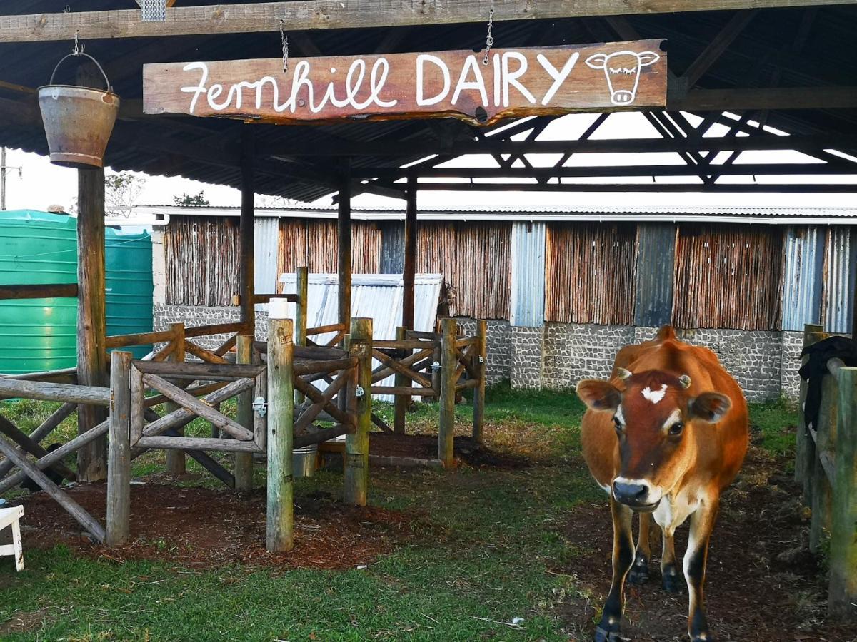 Fernhill Guest Farm Villa Knysna Exterior foto