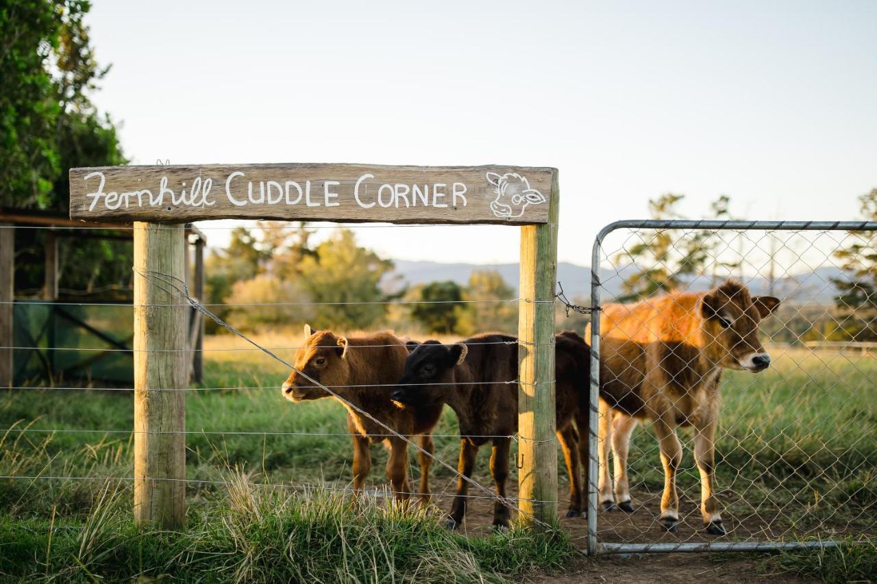 Fernhill Guest Farm Villa Knysna Exterior foto